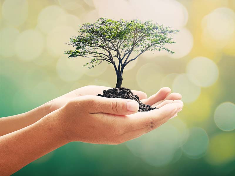 Environment Management Activity